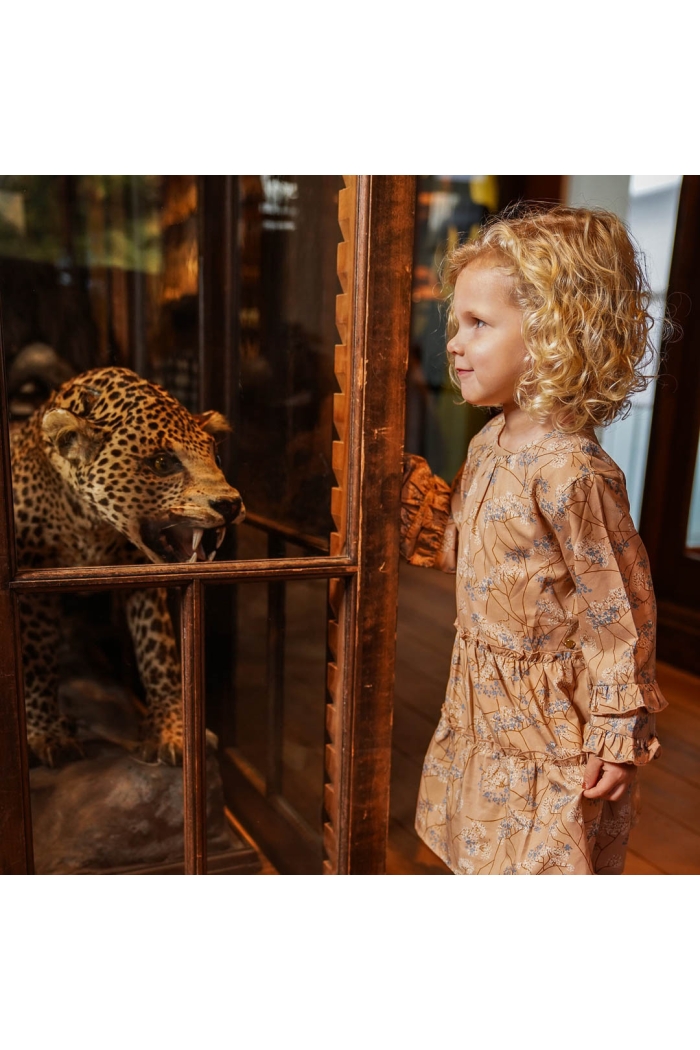 Koko Noko Ki Dress print caramel brown