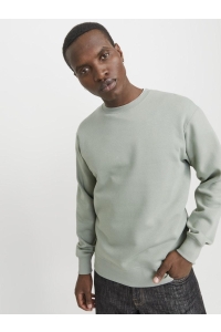 JJESTAR BASIC SWEAT CREW NECK NOOS iceberg green
