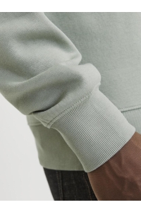 JJESTAR BASIC SWEAT CREW NECK NOOS iceberg green