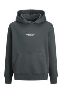 jack en jones boys JORVESTERBRO SWEAT HOOD NOOS JNR forest river/loose