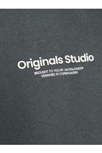 jack en jones boys JORVESTERBRO SWEAT HOOD NOOS JNR forest river/loose