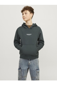 jack en jones boys JORVESTERBRO SWEAT HOOD NOOS JNR forest river/loose