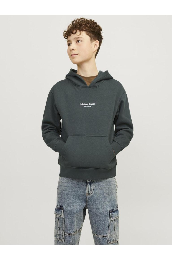 jack en jones boys JORVESTERBRO SWEAT HOOD NOOS JNR forest river/loose