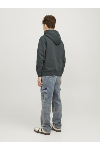 jack en jones boys JORVESTERBRO SWEAT HOOD NOOS JNR forest river/loose