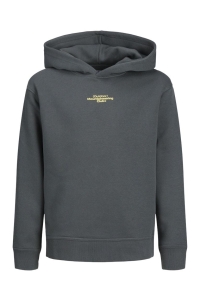 jack en jones boys JCOALPHA MOUNTAIN PRINT SWEAT HOOD : urban chic