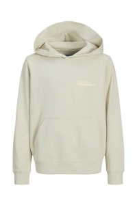 jack en jones boys JORPAROS TYPE SWEAT HOOD BACK JNR celadon tint