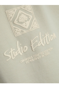 jack en jones boys JORPAROS TYPE SWEAT HOOD BACK JNR celadon tint