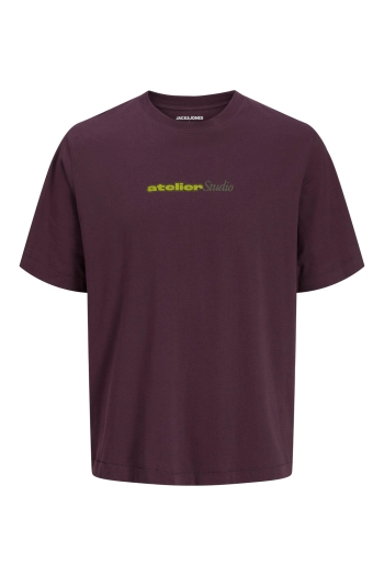 JACK&JONES ORIGINALS JJRODY TEE SS CREW NECK