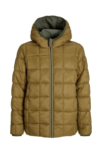 JJEBROOK REVERSIBLE JACKET SN olive night