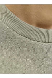 JJESOHO SWEAT CREW NECK NOOS vetiver
