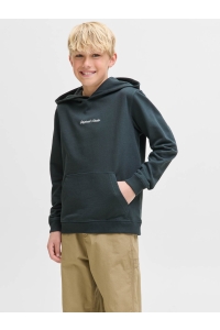 jack en jones boys JORNORREBRO EMB SWEAT HOOD NOOS JNR forest river