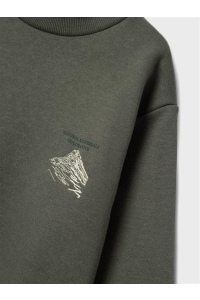 NAME IT KIDS NKMNASKAB LS NREG SWEAT BRU BOX tea leaf