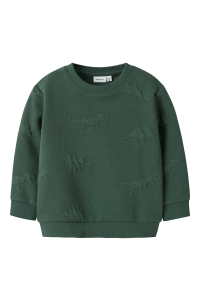 NAME IT MINI NMMNOLAN LS NREG SWEAT UNB garden topiary