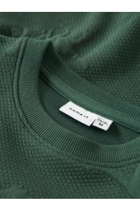 NAME IT MINI NMMNOLAN LS NREG SWEAT UNB garden topiary