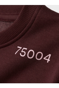 NAME IT KIDS NKFODIKA LS RLX SWEAT BRU BF sassafras