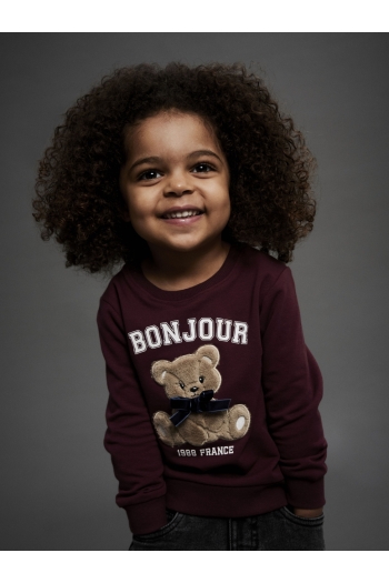 NAME IT MINI NMFREAR LS SWEAT BRU