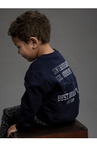NAME IT MINI NMMRICO LS NREG SWEAT BRU BOX navy blazer