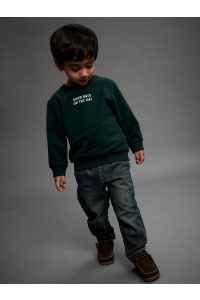 NAME IT MINI NMMSLADE LS NREG SWEAT BRU pine grove