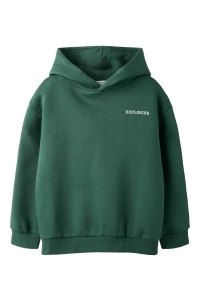 NAME IT KIDS NKMLIAM LS RLX SWE WH BRU garden topiary