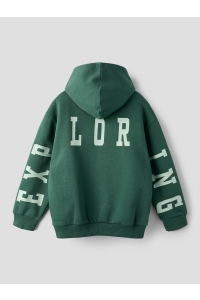 NAME IT KIDS NKMLIAM LS RLX SWE WH BRU garden topiary