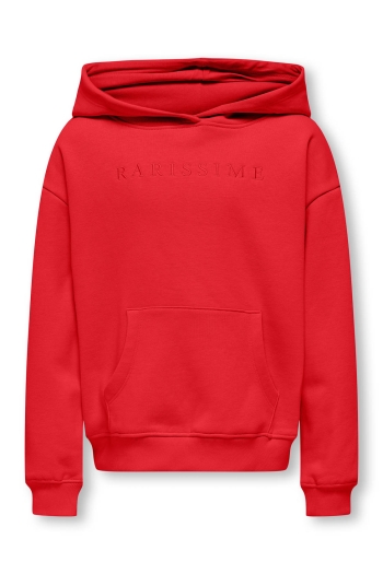 ONLY KOGBILLIE LIFE L/S HOODIE SWT