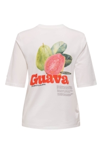 ONLY ONLPHOEBE S/S FRESH TOP BOX JRS cloud dancer/guava w/o labels