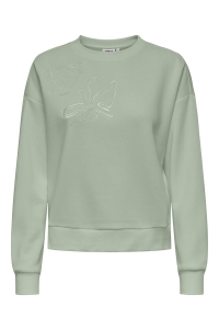 ONLY ONLPAM L/S O-NECK BOX CC SWT desert sage/w. enjoy