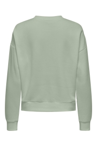 ONLY ONLPAM L/S O-NECK BOX CC SWT desert sage/w. enjoy