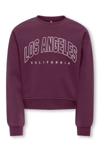 ONLY KOGSWEAT LS CREW OVZ STAT SWT NOOS mauve wine/los angeles - califor