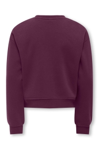 ONLY KOGSWEAT LS CREW OVZ STAT SWT NOOS mauve wine/los angeles - califor