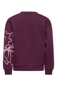 ONLY KOGODESSA LIFE L/S O-NECK BOX UB CP: mauve wine/blurry flower roseate