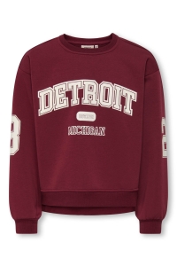 ONLY KOGVICTORY LIFE L/S O-NECK SWT cabernet/detroit/cloud dancer