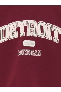 ONLY KOGVICTORY LIFE L/S O-NECK SWT cabernet/detroit/cloud dancer