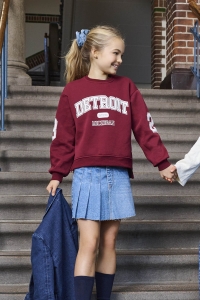 ONLY KOGVICTORY LIFE L/S O-NECK SWT cabernet/detroit/cloud dancer