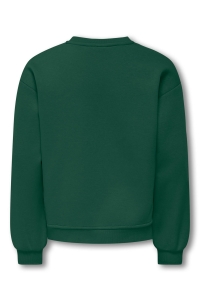 ONLY KOGVICTORY LIFE L/S O-NECK SWT pineneedle/london/cloud dancer