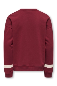 ONLY KOGHELLA LIFE LS O-NECK LOOSE PRINT: cabernet/glorious