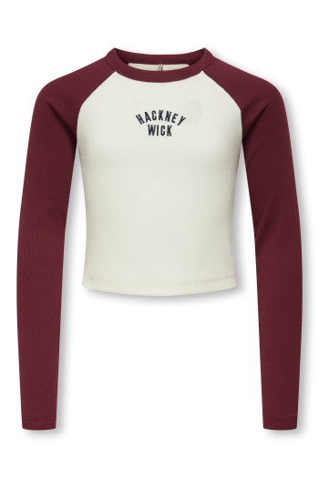 ONLY KOGBINA LIFE L/S O-NECK CONTRAST TO: