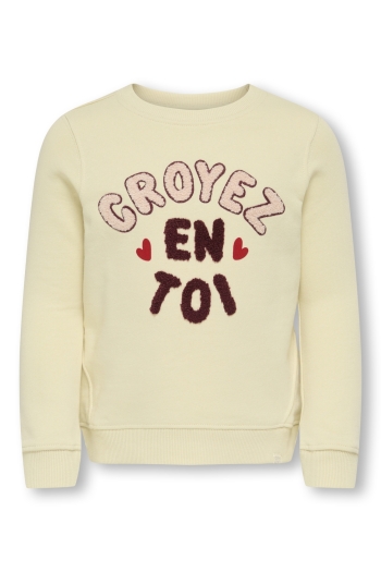 ONLY:KIDS ONLY KMGFRIDA LIFE L/S REG O-NECK BRU SW: