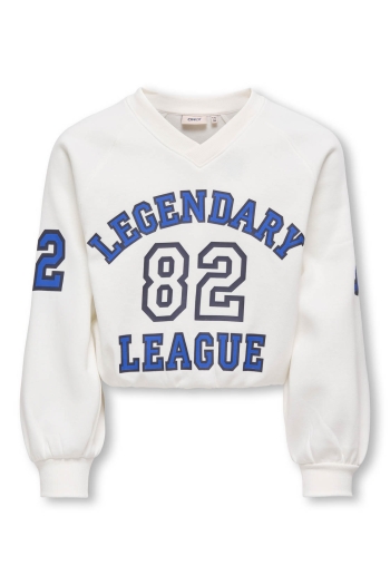 ONLY KOGCOLETTA L/S V-NECK PRINT SWT