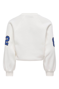 ONLY KOGCOLETTA L/S V-NECK PRINT SWT cloud dancer/legendary