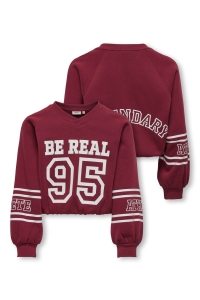 ONLY KOGCOLETTA L/S V-NECK PRINT SWT cabernet/real