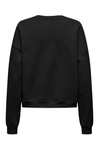 ONLY ONLELISANNA O-NECK BOX SWT black/birch flowers