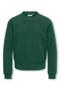 ONLY KOGATIKA L/S O-NECK EMB HEART SWT pineneedle/emb hearts/pineneedle