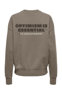 ONLY ONLCATRIN L/S O-NECK PRINT BOX UB S: fallen rock/optimism