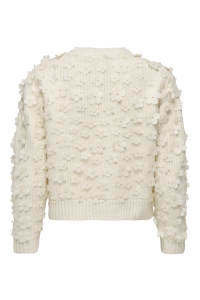 ONLY ONLHUA LIFE LS FLOW DETAIL O-NEC CS: birch/dtm mesh flowers