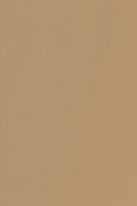 ICHI IASIV SLIP DR:Accessories tan