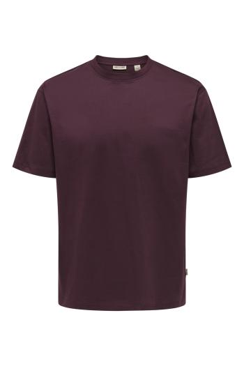 ONLY&SONS ONSFRED RLX SS TEE NOOS