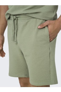 ONLY&SONS ONSKIAN LIFE REG SEERSUCKER SHORTS : seagrass