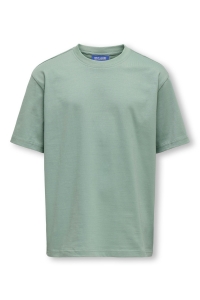 ONLY&SONS OSJFRED LIFE RLX SS TEE JRS NOOS chinois green