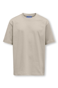 ONLY&SONS OSJFRED LIFE RLX SS TEE JRS NOOS silver lining